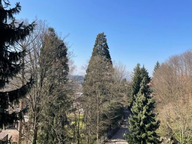 Appartamento Urlaub Im Schwarzwald! Ghp440 Sasbachwalden Esterno foto